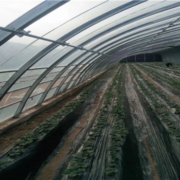 東北地區蔬菜養殖大棚材料幾字鋼骨架每平米的價格