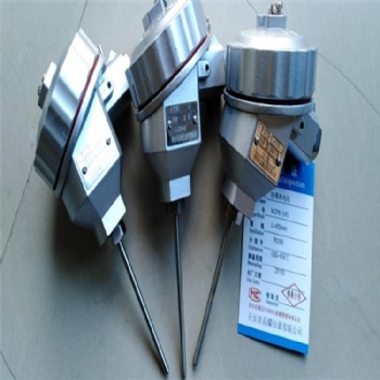 源頭工廠 WZPK-145 防爆熱電阻