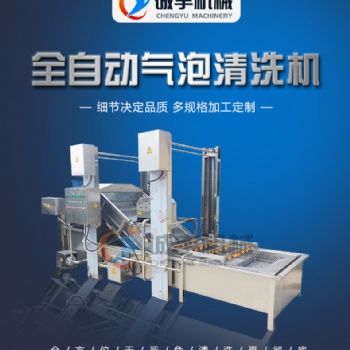 誠宇多功能氣泡清洗機 石榴果清洗機 桑葚清洗設備