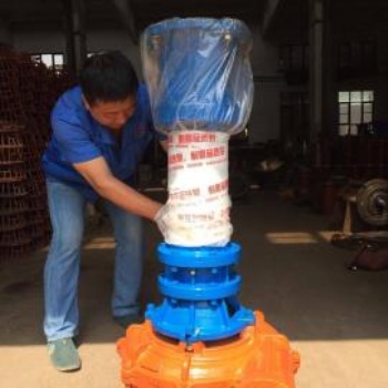臨汾臨龍6寸吸沙泵150NYL180-22