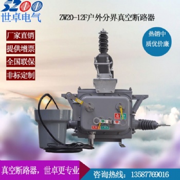 ZW20智能看門狗 智能分界開關(guān) 廠家**