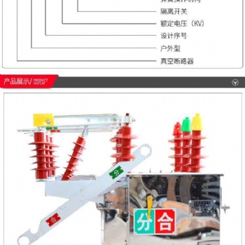 ZW8柱上真空斷路器 智能分界開關帶隔離 廠家**