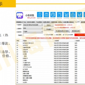2021拼多多店群采集軟件,一鍵上貨拍單自動回復軟件貼牌招商