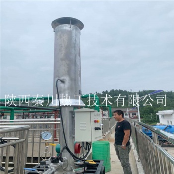 垃圾填埋場200m3 沼氣火炬燃燒器