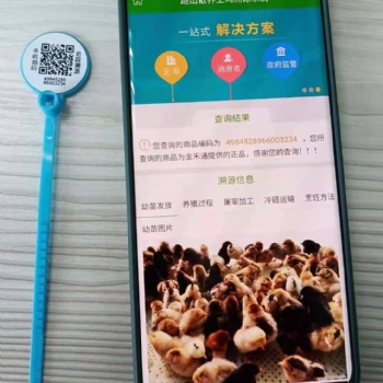 屠宰溯源二維碼腳環 生鮮食品溯源標識