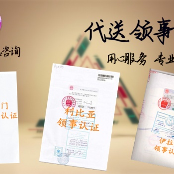 蘇里南領事館認證審計報告