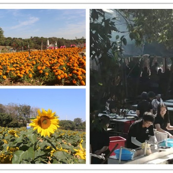 在東莞可以野炊又可以看花休閑游玩的農(nóng)家樂