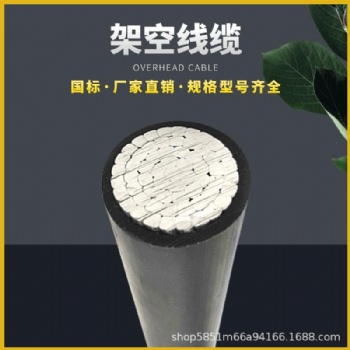 鋁芯電纜YJV-350+1電力電線