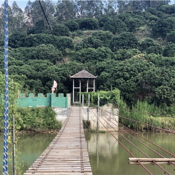 東莞周邊春節期間適合去哪里旅游-大朗萬荔生態園