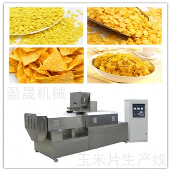 玉米片生產(chǎn)線 玉米三角片生產(chǎn)線
