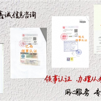 安道爾代理要求辦理領事雙認證周年申報表·驗資報告