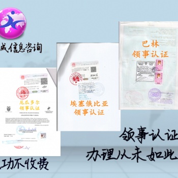 審計報告日本領館雙認證