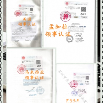 斐濟領館加簽銀行資信&審計報告