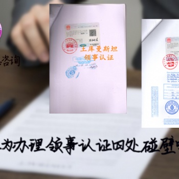 巴拿馬領事館認證公司簡介，審計報告，商標證書