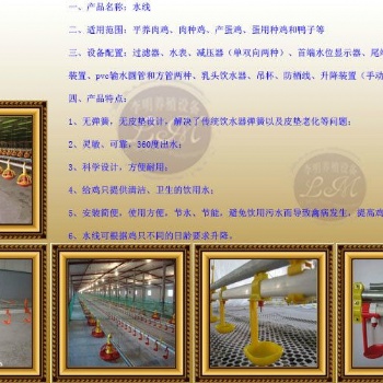 水線 養(yǎng)殖設(shè)備 養(yǎng)雞水線 肉雞水線 蛋雞水線 自動飲水系統(tǒng)