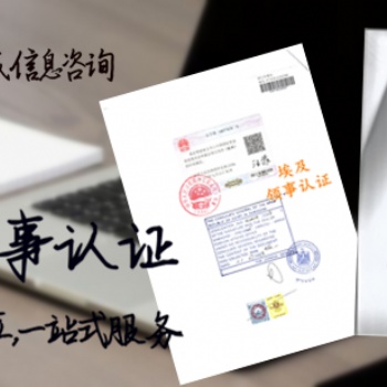 出生公證書埃及領事雙認證