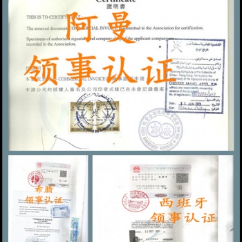 尼泊爾資產(chǎn)負(fù)債表#審計報告#董事會議大使館簽章