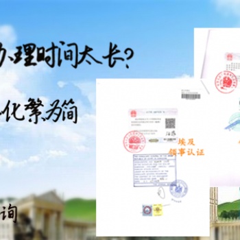 瑞士無犯罪記錄公證領事雙認證