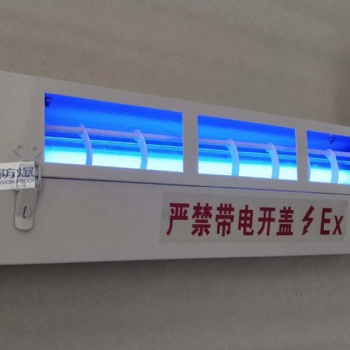 YMD-G防爆滅蚊燈 化工制藥廠滅蚊防爆LED燈