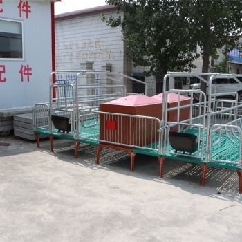 落地式產保一體母豬產床