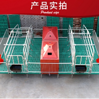 母豬產床復合母豬保育產床 雙體母豬產床