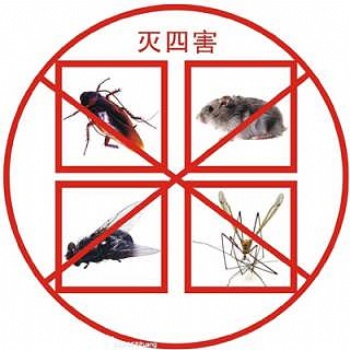 福州滅四害公司福州滅白蟻公司
