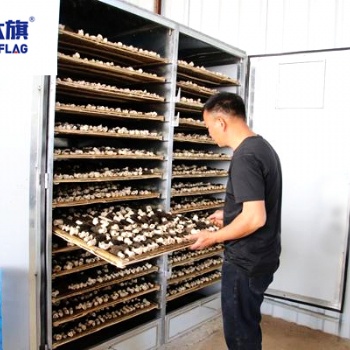 羊肚菌烘干房西部大旗廠家定制