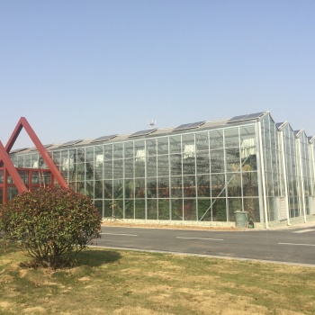 蔬菜大棚、溫室大棚、溫室配套設施銷售及安裝