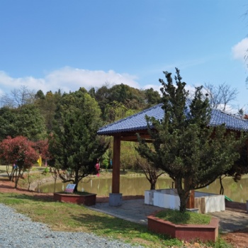 長沙附近農家樂休閑出游、民宿、野炊、挖冬筍、劃船賞花