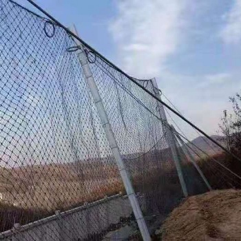 河北礦山柔性被動防護網RX-050
