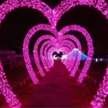 觀賞周口夜景夢幻燈光節策劃布展出租廠家