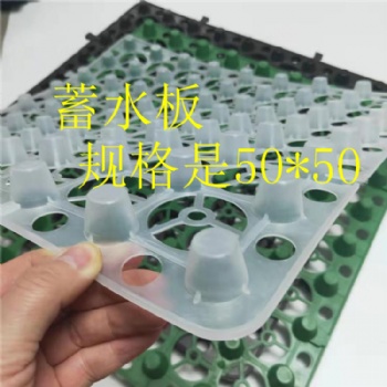 洛陽園林綠化種植2公分蓄排水板