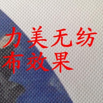 白畫布,絹絲布,無(wú)紡布