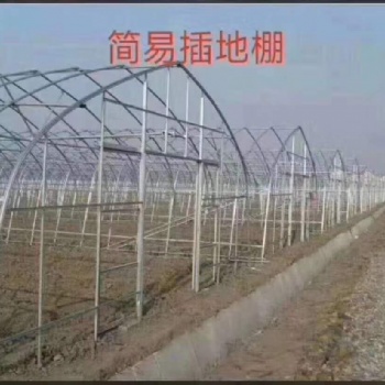 鑫駿通達大棚鋼結構生產銷售