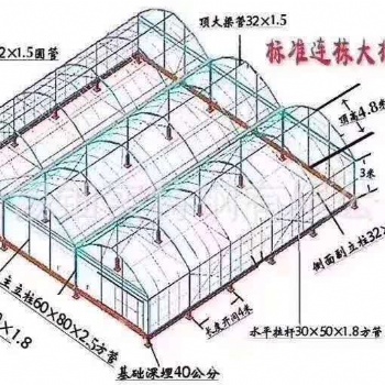 連棟大棚骨架定做現貨