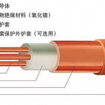 BTTZ/Q礦物質(zhì)絕緣防火電纜