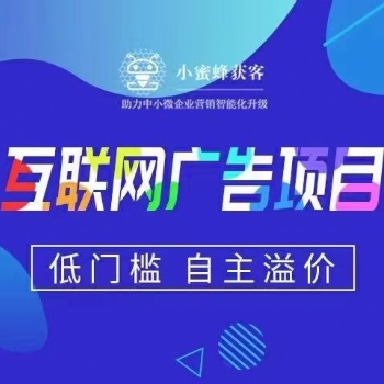 互聯網輕資產項目，想賺錢的看過來