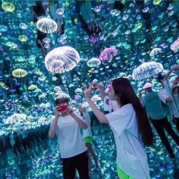 夢幻旅程系列水母世界