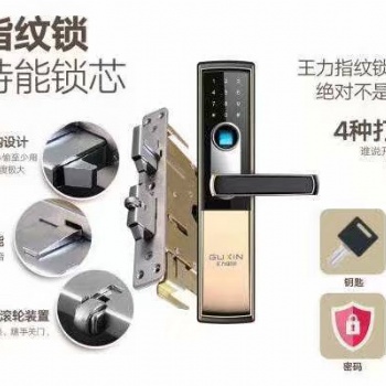王力防盜門C級鎖指紋密碼鎖防盜門升級C級鎖芯