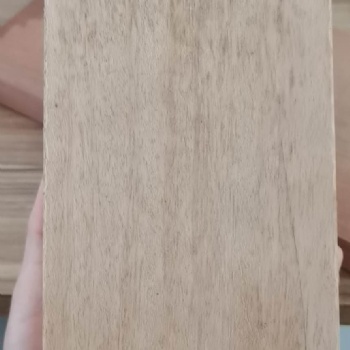 批發山樟木，山樟木的用途和價格