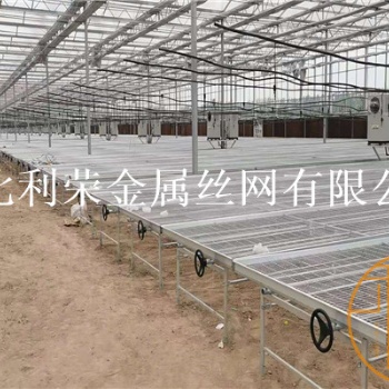 花卉苗床花卉苗床網大棚花卉苗床網