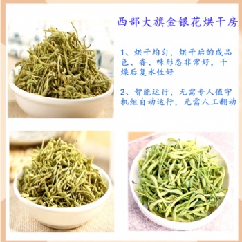 西部大旗金銀花烘干機烘干房