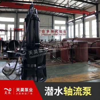 QZB潛水軸流泵 井筒式安裝 那家現貨供應質量好