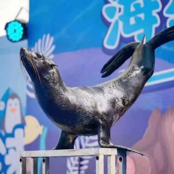 萌寵展覽出租動物租賃公司