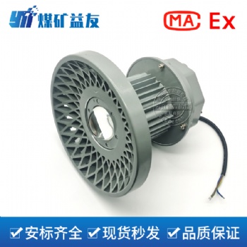 益煤電器免維護設計 DGS100/127L(A)礦用隔爆型LED巷道燈 100W防爆巷道燈