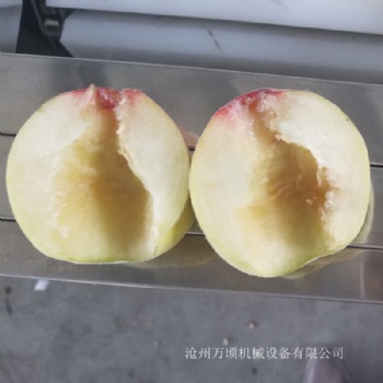 供應桃子去核機 桃去核切瓣機 桃脯桃罐頭使用機器