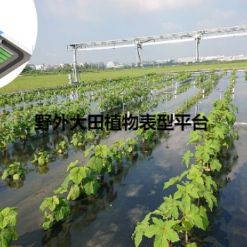 傳送帶植物生長平臺擔負輸送植物樣品移動