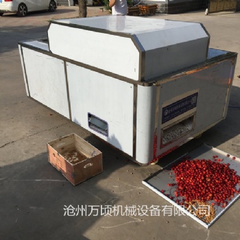 煙臺小型櫻桃去核機工藝精良