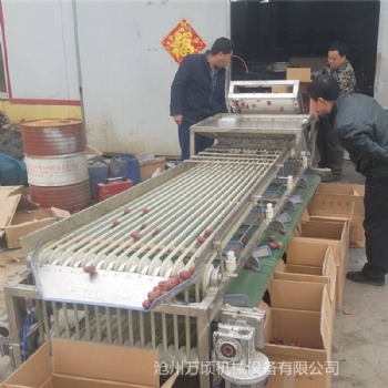 大連櫻桃分級機產量大不傷皮