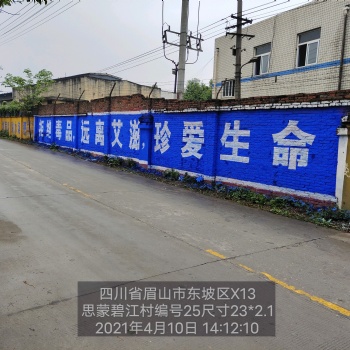 四川眉山農(nóng)村墻體手繪廣告美在工藝，好在品質(zhì)